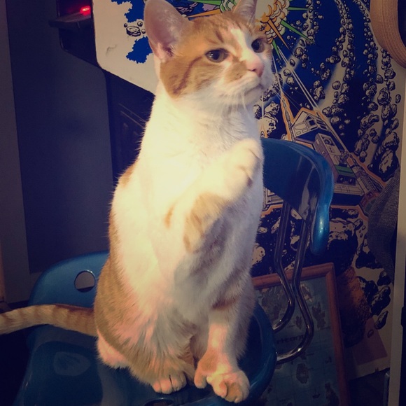 Other - This is Marvel, he wants you to read this listing.